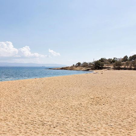Villa San Dimitrio House On The Beach لوغاراس المظهر الخارجي الصورة
